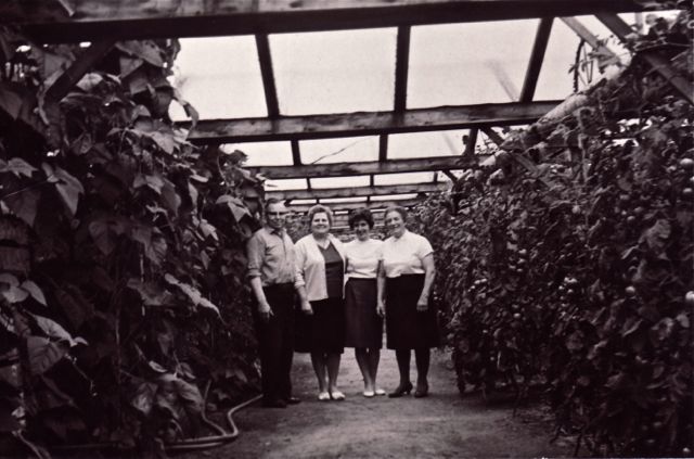 Wij hadden onze serre ingesteld op mensen die graag ergens in bladeren. Groot succes hoor!